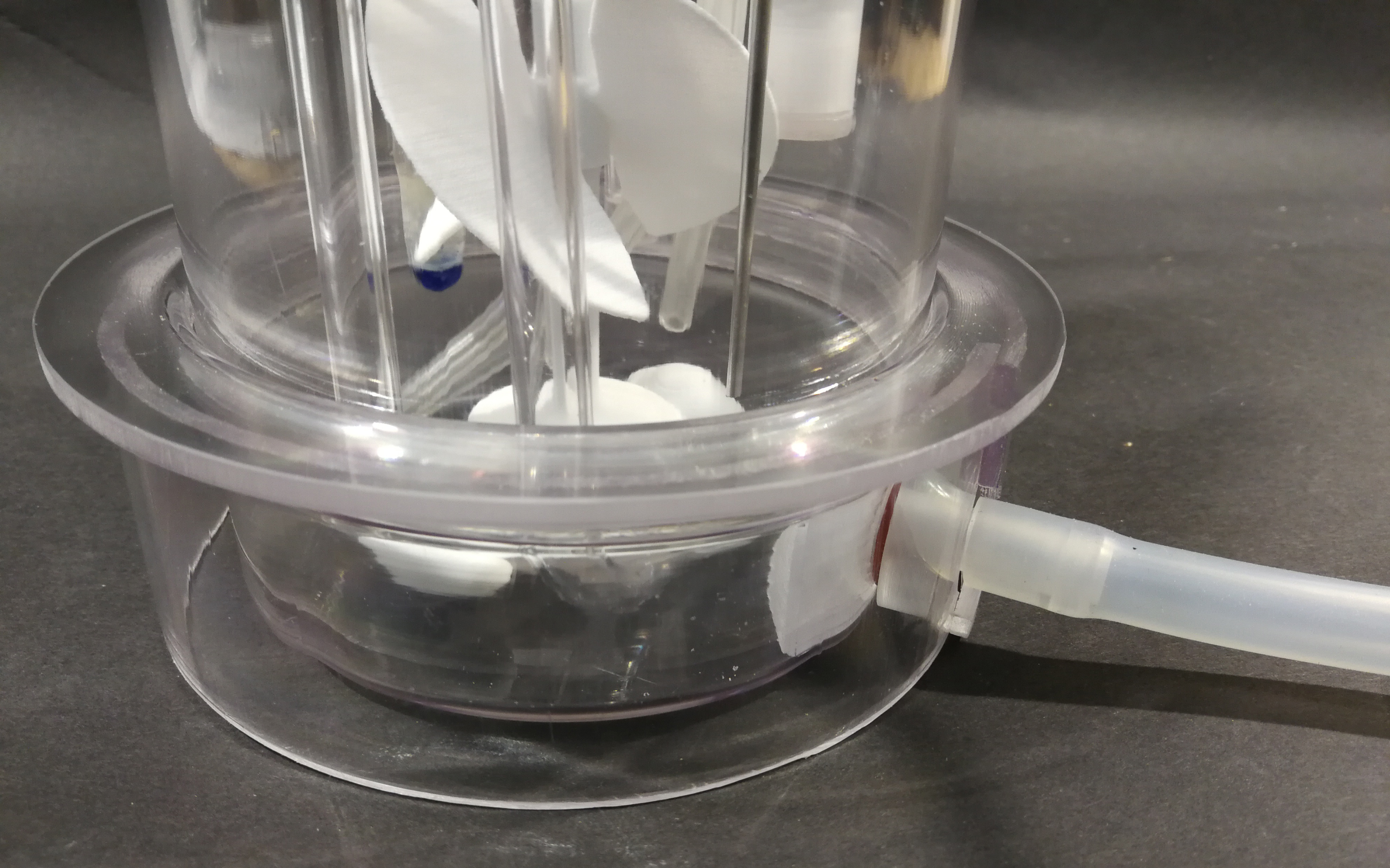 2018-09-23 10.00.50.jpg