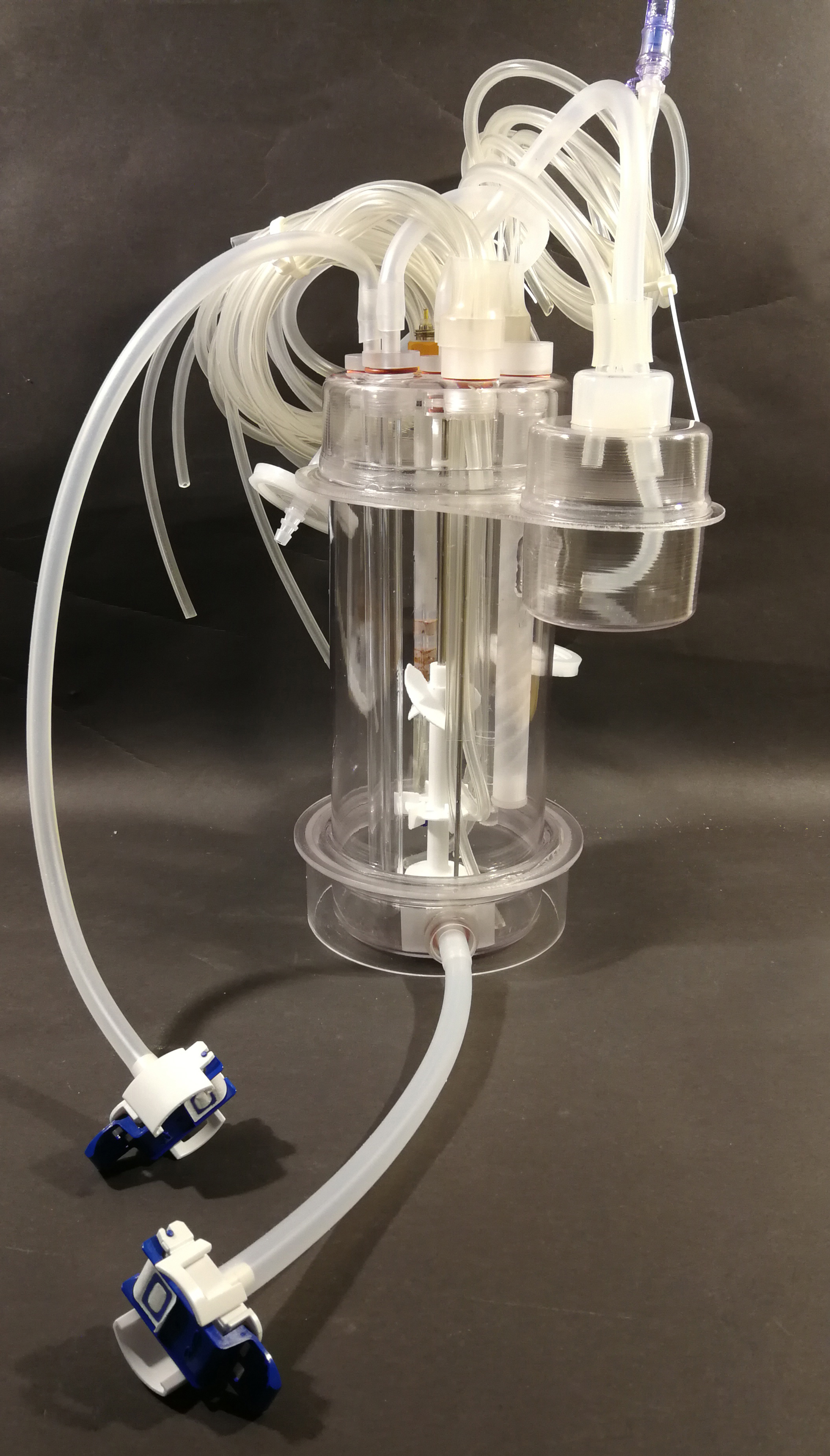 complete LowRider-1.jpg