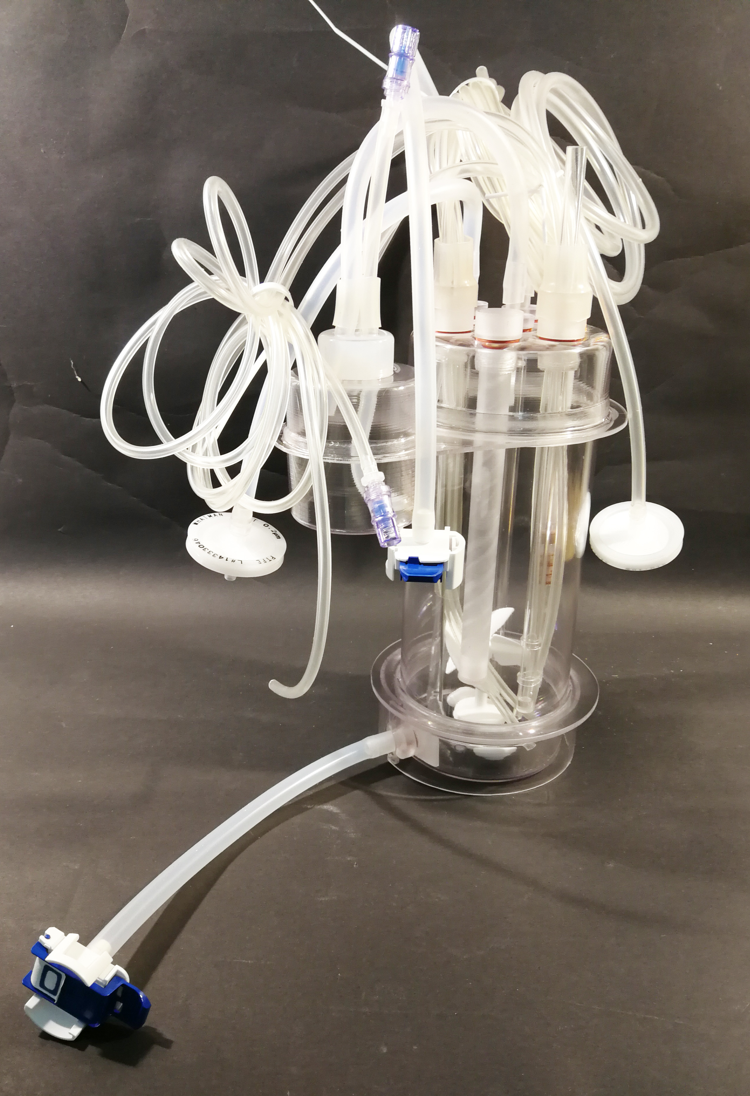 LowRider-1 package.jpg