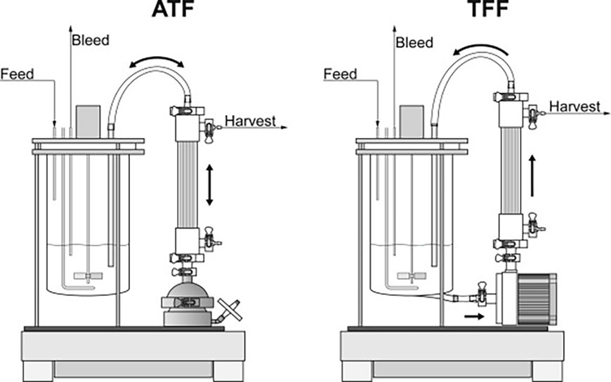 ATF and TFF difference.jpg