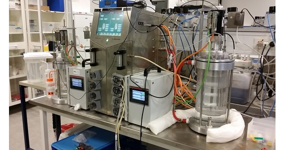 Dual BactoVessel on Biostat