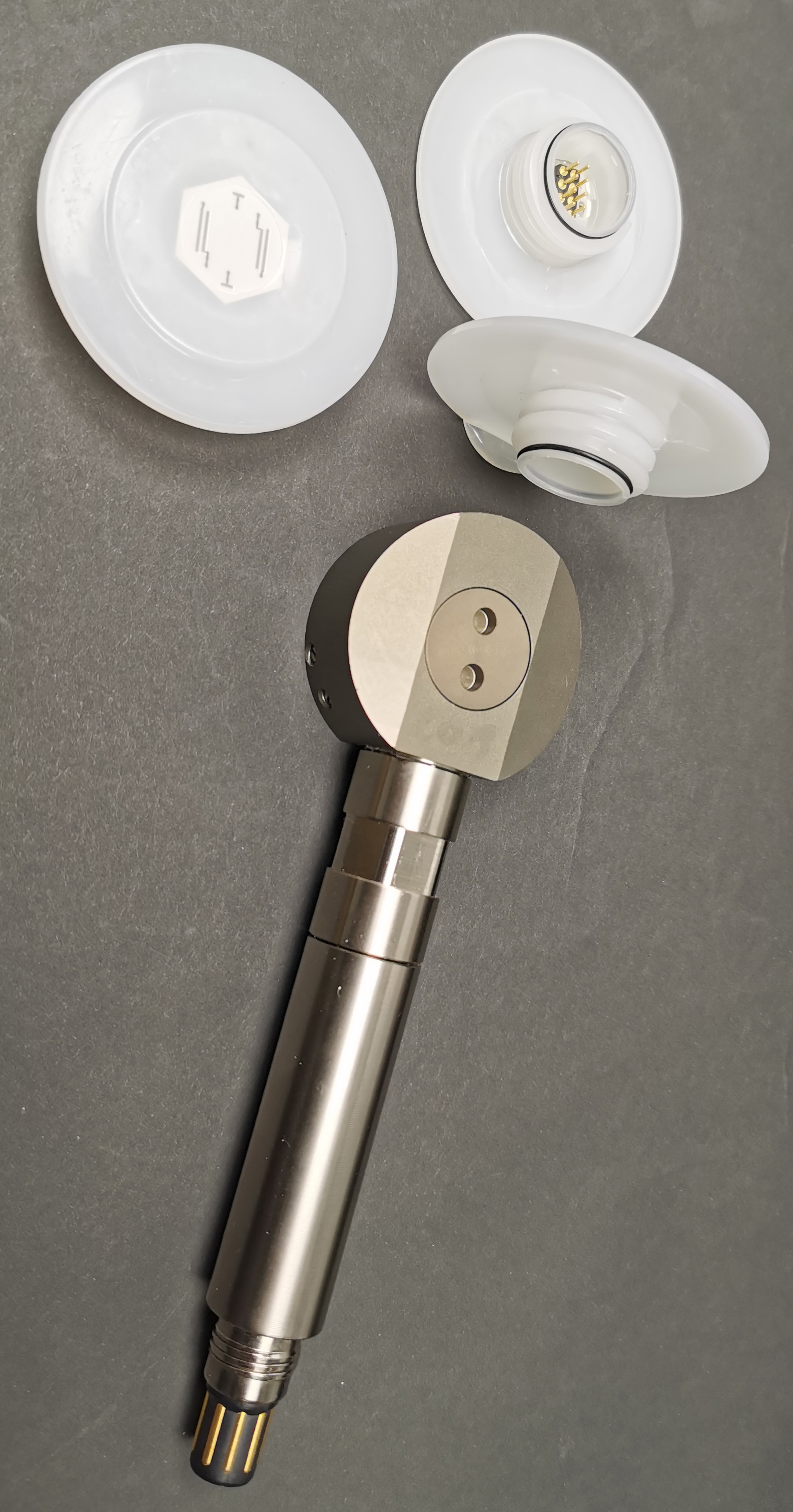 Biomass Single-Use-Sensor