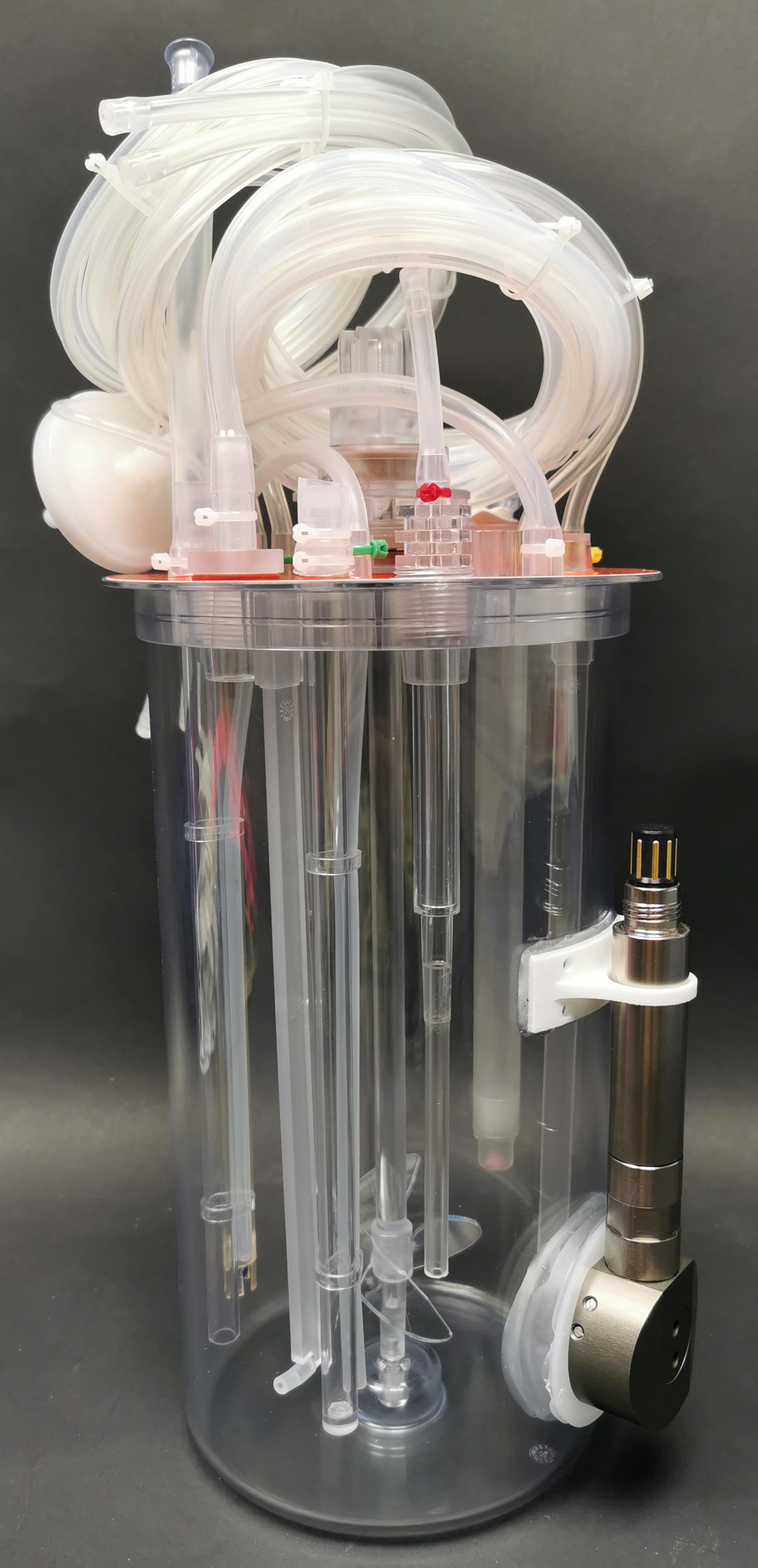 Biomass Single-Use-Sensor