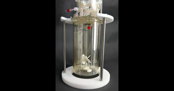 2019 SUB with OD137 mm