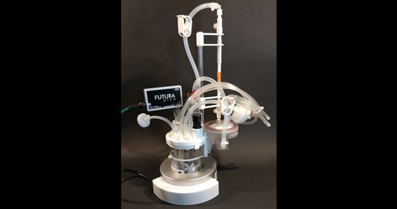 PICO VisiFerm OneFerm