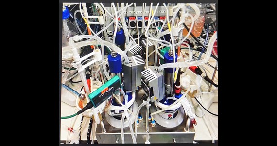 PICO at Merck Darmstadt