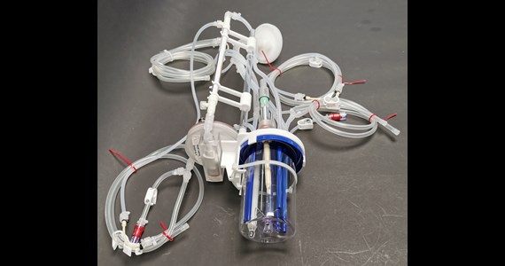 BioBLU300 TFF + PICO